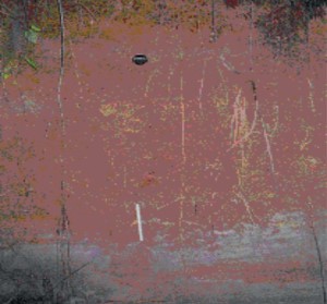 Image 15