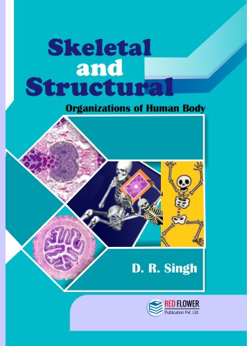 Skeletal and structural organizations of Human Body