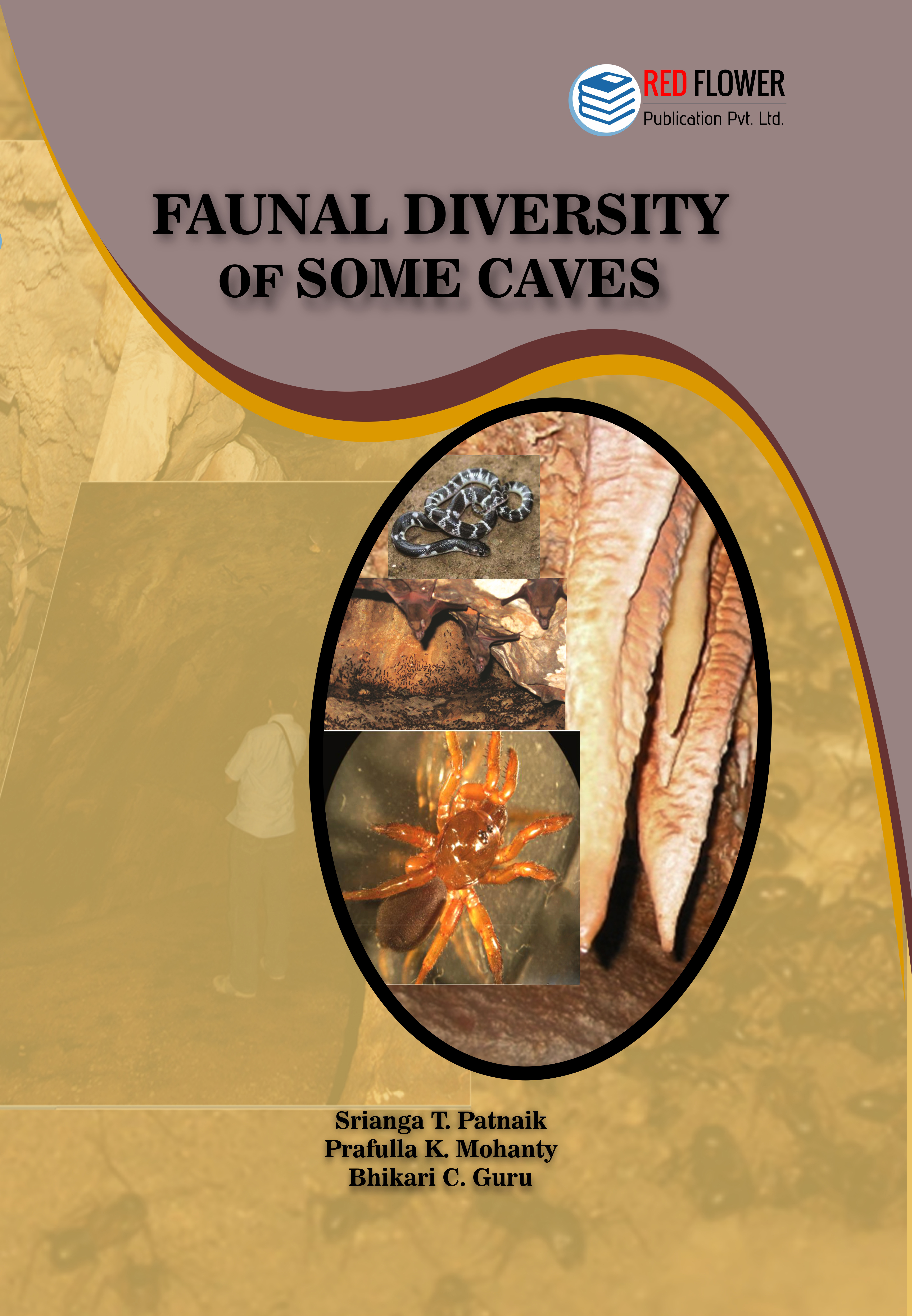 FAUNAL DIVERSITY of SOME CAVES