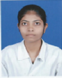Sanambi Alam